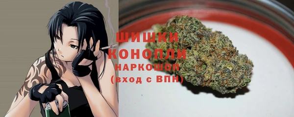 гидра Липки
