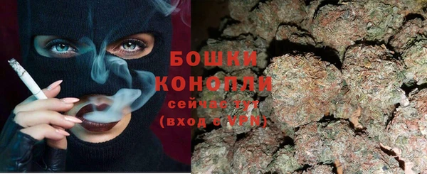 шишки Лиски