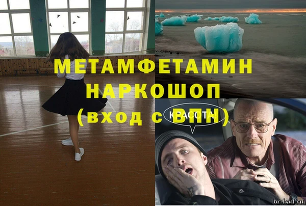 гидра Липки