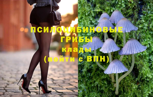 МДПВ Магадан