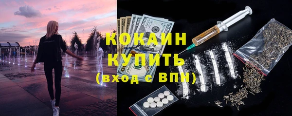 гидра Липки