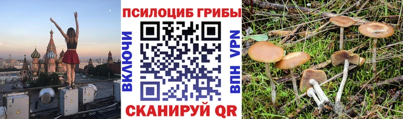 мега сайт  Владимир  Псилоцибиновые грибы мицелий 