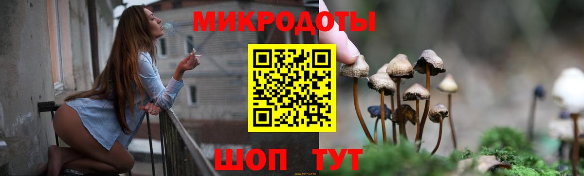 Владимир  Галлюциногенные грибы прущие грибы  Вход с VPN 